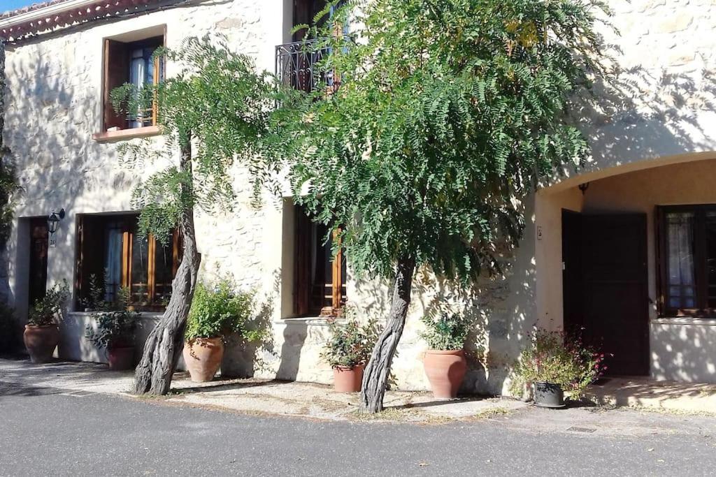 Chez Sheila Apartment Cucugnan Bagian luar foto
